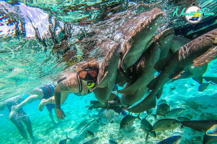 Les Cayes | wizardtrip