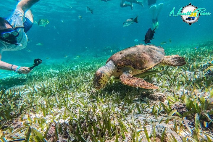 Avventura di snorkeling nella Riserva Marina di Hol Chan, Belize, con vita marina diversificata e barriere coralline, foto 11 | wizardtrip
