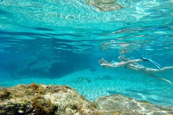 Tour privado en lancha rápida por las Islas Elaphiti desde Dubrovnik, Croacia, con natación y vistas panorámicas, foto 24 | wizardtrip