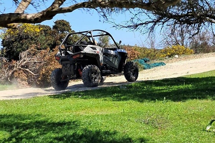 Aventure en buggy 4x4 tout-terrain à Rhodes, exploration de sentiers panoramiques et dégustation locale, photo 12 | wizardtrip