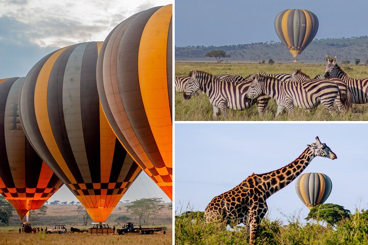 Safari en Montgolfière & Brunch dans la Savane au Serengeti - Miracle Experience | wizardtrip
