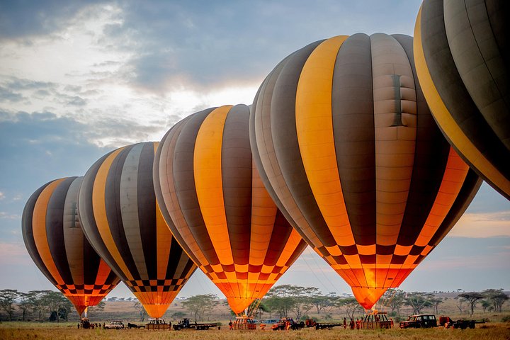 Heißluftballon-Safari über den Serengeti-Nationalpark, Tansania, mit Tierbeobachtung und Buschfrühstück, Foto 14 | wizardtrip