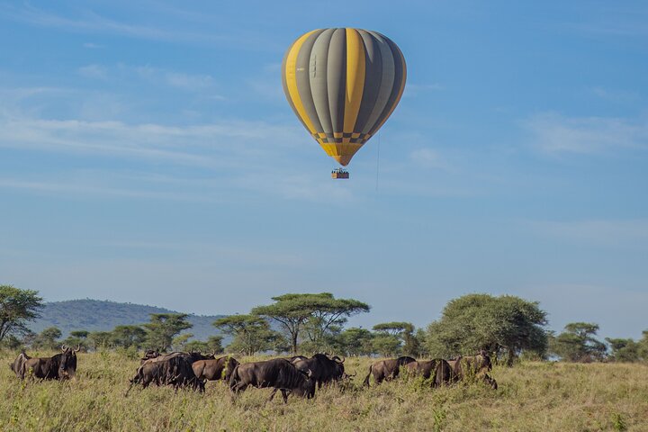Heißluftballon-Safari über den Serengeti-Nationalpark, Tansania, mit Tierbeobachtung und Buschfrühstück, Foto 26 | wizardtrip