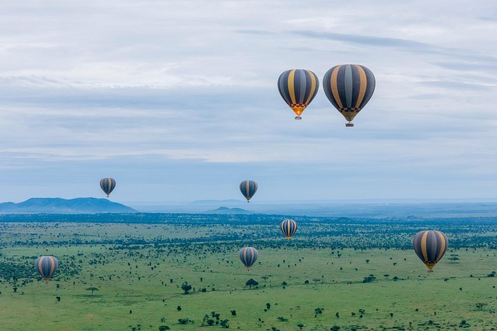Heißluftballon-Safari über den Serengeti-Nationalpark, Tansania, mit Tierbeobachtung und Buschfrühstück, Foto 31 | wizardtrip