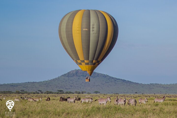 Heißluftballon-Safari über den Serengeti-Nationalpark, Tansania, mit Tierbeobachtung und Buschfrühstück, Foto 33 | wizardtrip