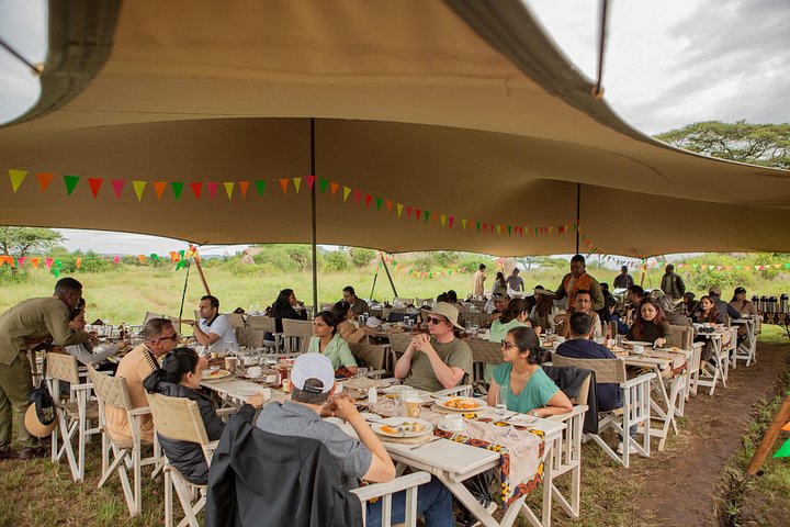 Heißluftballon-Safari über den Serengeti-Nationalpark, Tansania, mit Tierbeobachtung und Buschfrühstück, Foto 44 | wizardtrip