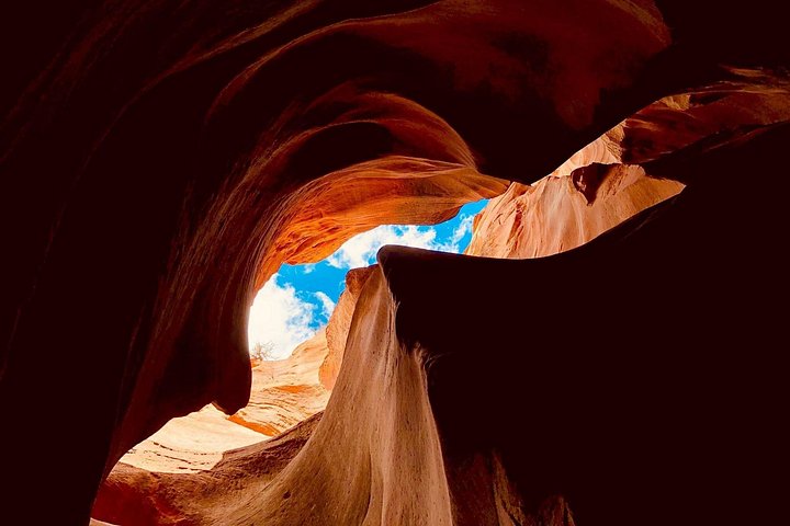 Prisvinnende UTV Slot Canyon-tur | wizardtrip