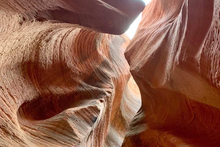 Experience an exhilarating UTV ride through Zion National Park's slot canyons, capturing stunning natural beauty, photo 7 | wizardtrip