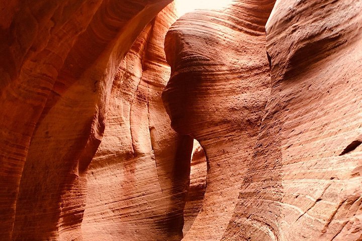 Experience a thrilling slot canyon canyoneering UTV tour in East Zion, USA, photo 10 | wizardtrip