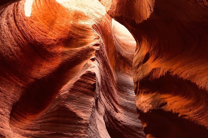 Erleben Sie Abseilen und UTV-Abenteuer in einem Slot Canyon in der Nähe des Zion Nationalparks, Foto 6 | wizardtrip