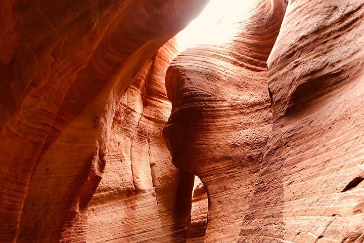 Erleben Sie Abseilen und UTV-Abenteuer in einem Slot Canyon in der Nähe des Zion Nationalparks, Foto 7 | wizardtrip