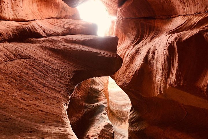 Erleben Sie Abseilen und UTV-Abenteuer in einem Slot Canyon in der Nähe des Zion Nationalparks, Foto 16 | wizardtrip