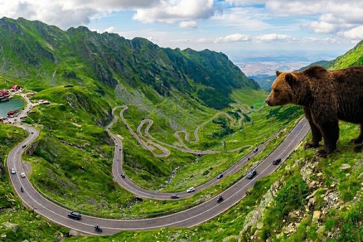 Route du Top Gear, petit groupe max 7 pers avec prise en charge, Transfăgărășan | wizardtrip