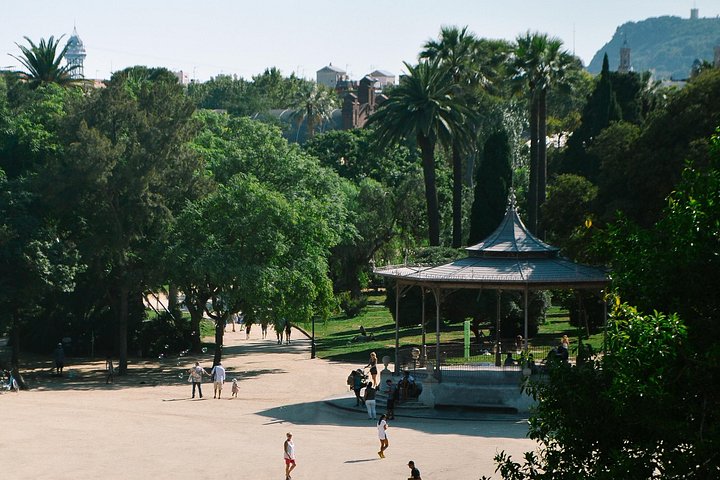 A scenic bike tour through Barcelona's historic streets and along its beautiful coastline, photo 23 | wizardtrip