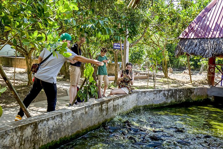 A scenic boat tour through the lush Mekong Delta canals, showcasing local life and tropical landscapes, photo 28 | wizardtrip