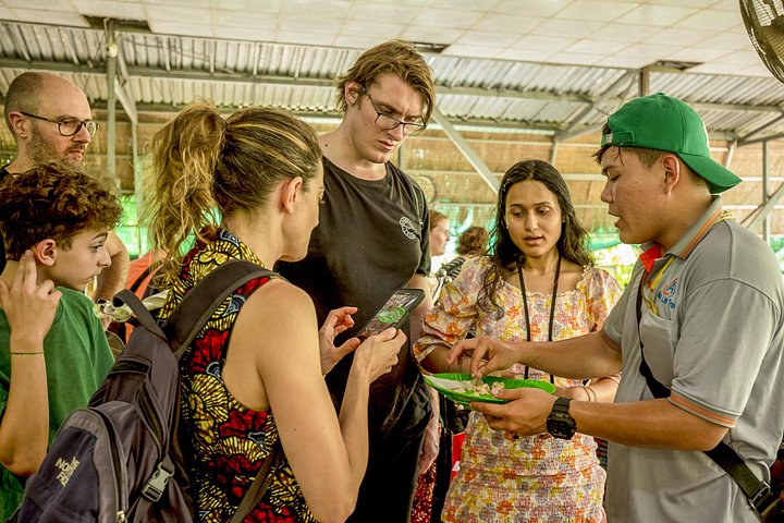 A scenic boat tour through the lush Mekong Delta canals, showcasing local life and tropical landscapes, photo 29 | wizardtrip