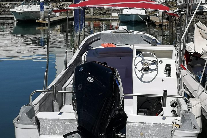 Upplev ett intimt valmöte i Puerto Vallartas Bandera-bukten med experthandledare, foto 7 | wizardtrip