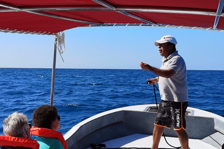 Upplev ett intimt valmöte i Puerto Vallartas Bandera-bukten med experthandledare, foto 13 | wizardtrip