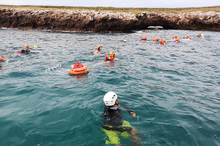 Snorkeling and wildlife tour to the Marietas Islands and Hidden Beach from Puerto Vallarta, photo 6 | wizardtrip