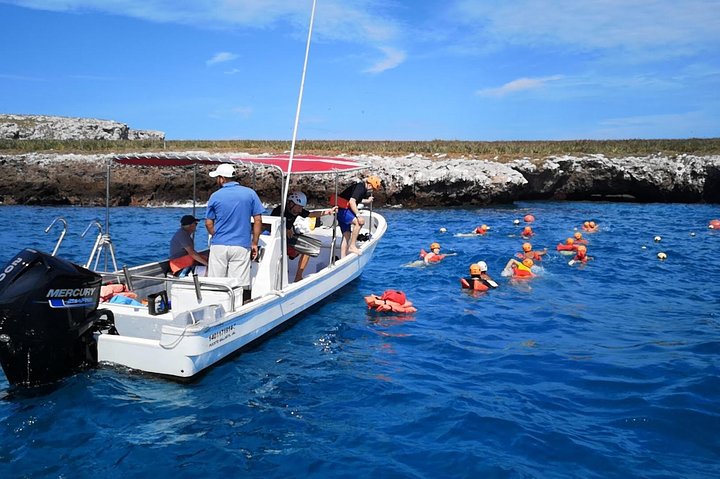 Snorkeling and wildlife tour to the Marietas Islands and Hidden Beach from Puerto Vallarta, photo 7 | wizardtrip