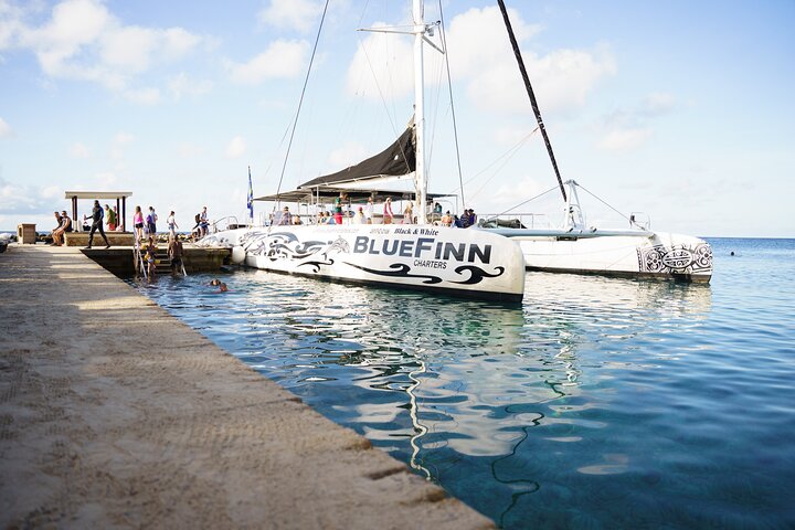 Day trip to Klein Curacao with catamaran cruise, snorkeling, BBQ lunch, and open bar, photo 2 | wizardtrip