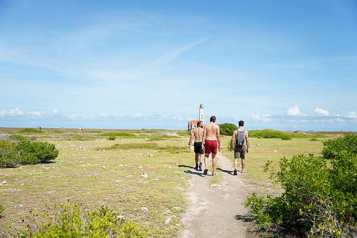 Day trip to Klein Curacao with catamaran cruise, snorkeling, BBQ lunch, and open bar, photo 5 | wizardtrip