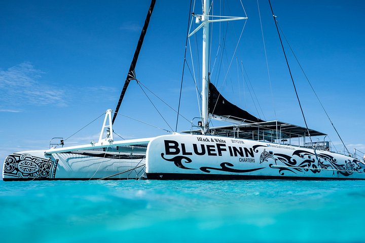 Day trip to Klein Curacao with catamaran cruise, snorkeling, BBQ lunch, and open bar, photo 17 | wizardtrip