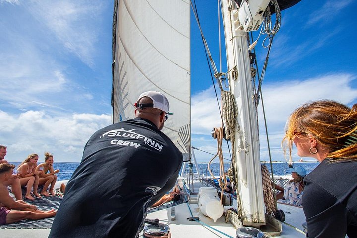 Day trip to Klein Curacao with catamaran cruise, snorkeling, BBQ lunch, and open bar, photo 18 | wizardtrip