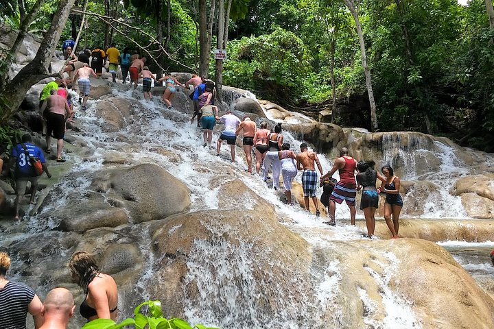 Opplev Jamaicas fantastiske naturskjønnhet med en dagstur til Dunn's River Falls og Blue Hole fra Montego Bay, foto 15 | wizardtrip