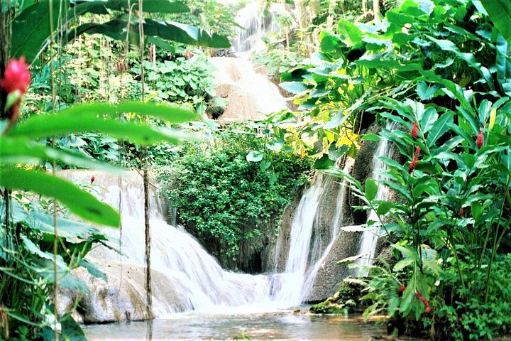 Opplev Jamaicas fantastiske naturskjønnhet med en dagstur til Dunn's River Falls og Blue Hole fra Montego Bay, foto 36 | wizardtrip