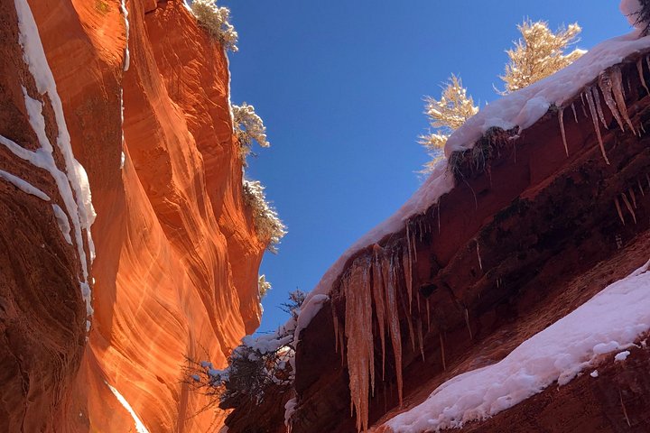 Guidad liten gruppvandring genom den fantastiska Peek-a-Boo Slot Canyon nära Kanab, Utah, foto 9 | wizardtrip