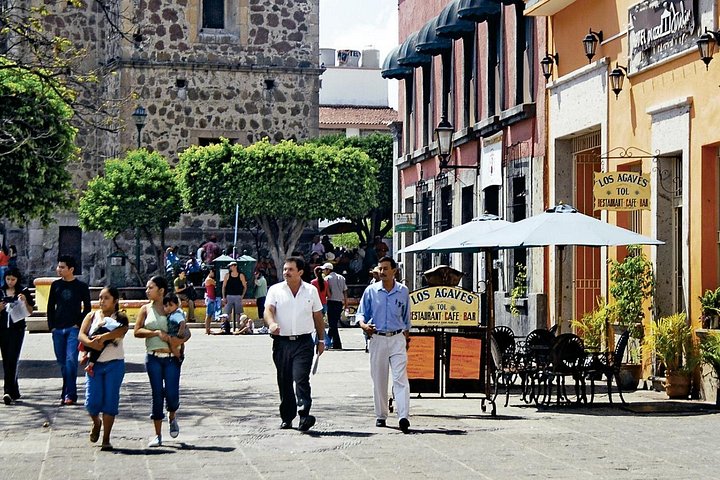 Udforsk gamle pyramider, agavemarker og tequiladestillerier på en guidet tur fra Guadalajara, foto 8 | wizardtrip