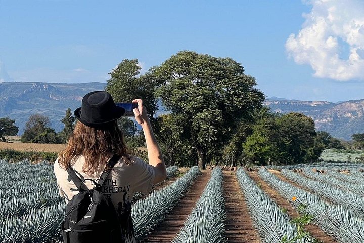 Udforsk gamle pyramider, agavemarker og tequiladestillerier på en guidet tur fra Guadalajara, foto 14 | wizardtrip