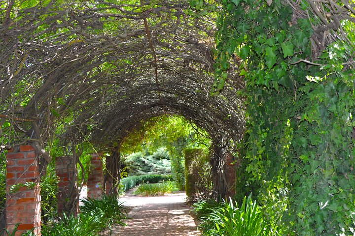 Barossa Valley Cellar Door Small Group Tour | wizardtrip