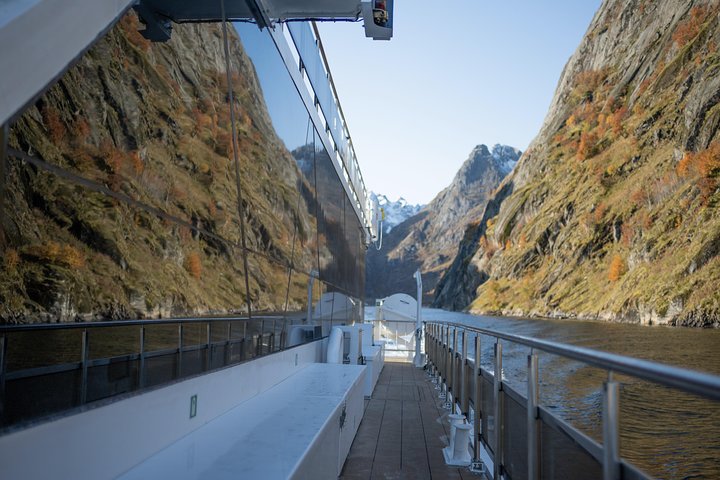 Croisière silencieuse à travers le majestueux Trollfjord norvégien au départ de Svolvær, offrant faune et paysages époustouflants, photo 7 | wizardtrip