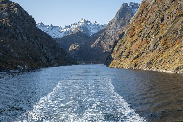 Croisière silencieuse à travers le majestueux Trollfjord norvégien au départ de Svolvær, offrant faune et paysages époustouflants, photo 8 | wizardtrip