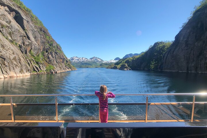 Croisière silencieuse à travers le majestueux Trollfjord norvégien au départ de Svolvær, offrant faune et paysages époustouflants, photo 9 | wizardtrip