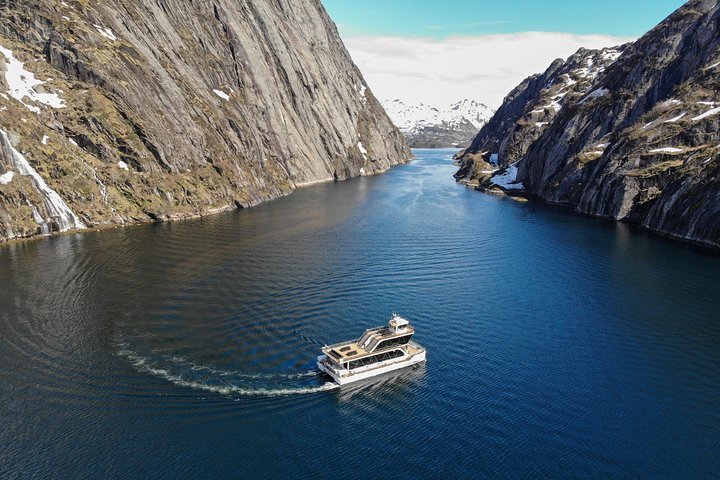 Croisière silencieuse à travers le majestueux Trollfjord norvégien au départ de Svolvær, offrant faune et paysages époustouflants, photo 10 | wizardtrip