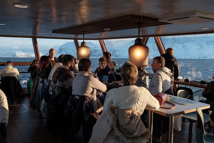 Walvissen spotten vanuit Tromsø per fluisterboot in de Arctische fjorden, foto 7 | wizardtrip