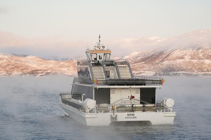 Walvissen spotten vanuit Tromsø per fluisterboot in de Arctische fjorden, foto 11 | wizardtrip