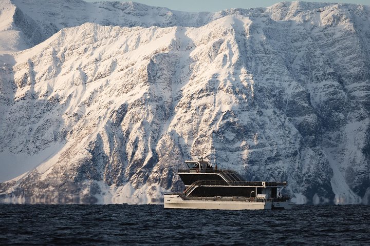 Walvissen spotten vanuit Tromsø per fluisterboot in de Arctische fjorden, foto 13 | wizardtrip