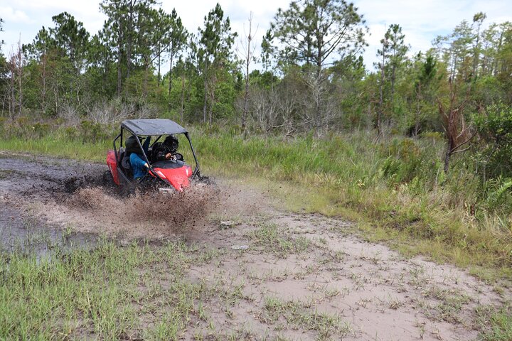 Vivi un'emozionante corsa in dune buggy sui sentieri fuoristrada della Florida vicino a Orlando, foto 16 | wizardtrip