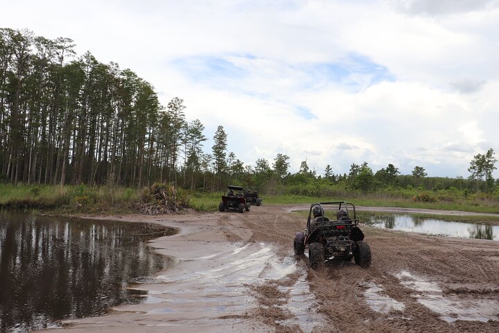 Vivi un'emozionante corsa in dune buggy sui sentieri fuoristrada della Florida vicino a Orlando, foto 26 | wizardtrip