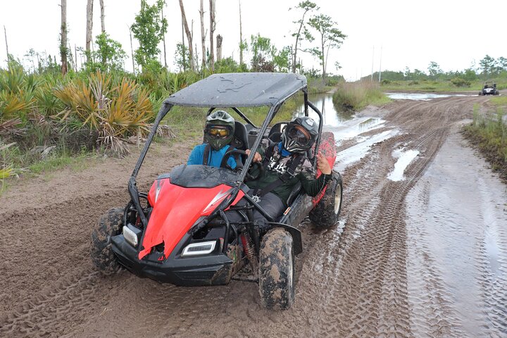 Vivi un'emozionante corsa in dune buggy sui sentieri fuoristrada della Florida vicino a Orlando, foto 27 | wizardtrip