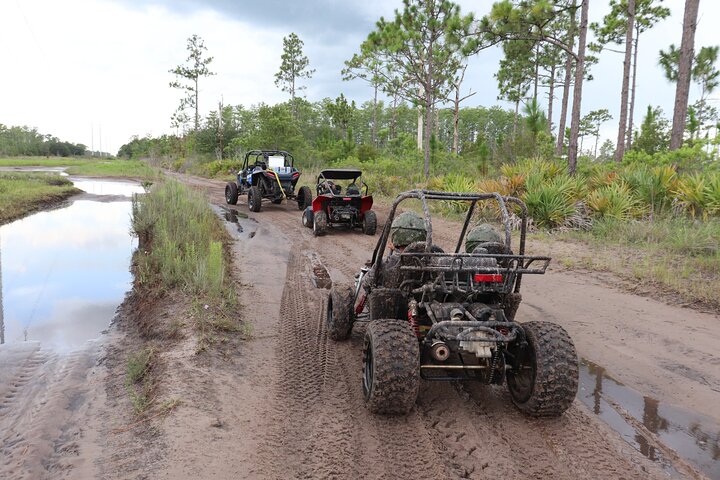 Vivi un'emozionante corsa in dune buggy sui sentieri fuoristrada della Florida vicino a Orlando, foto 29 | wizardtrip
