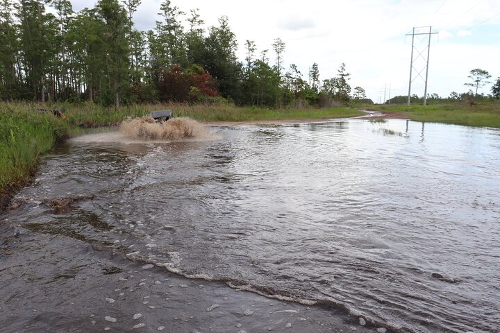 Vivi un'emozionante corsa in dune buggy sui sentieri fuoristrada della Florida vicino a Orlando, foto 30 | wizardtrip