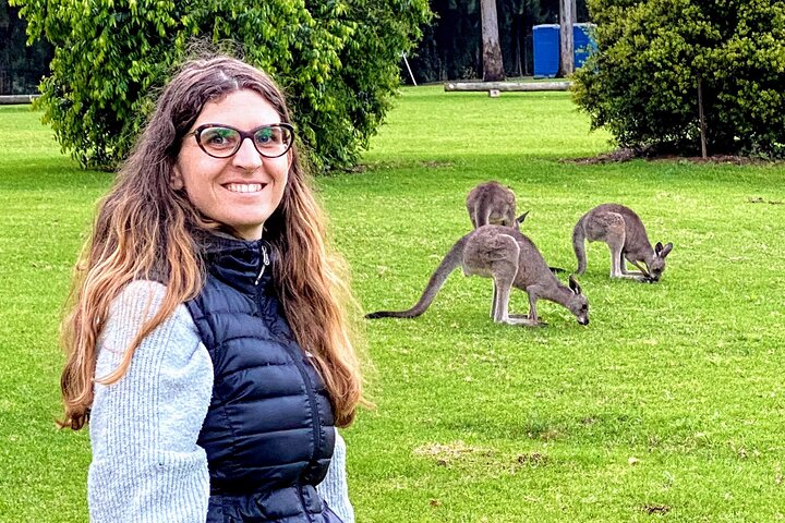 Experimenta la belleza salvaje de Australia en una excursión de un día desde Sídney, con wombats, canguros, cascadas y miradores panorámicos, foto 12 | wizardtrip