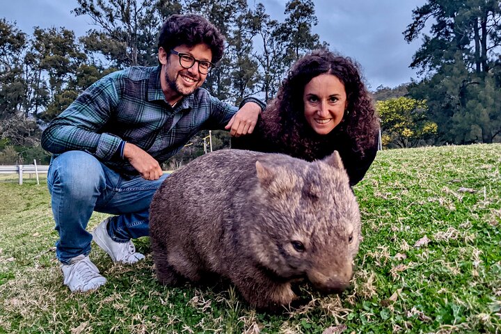 Experimenta la belleza salvaje de Australia en una excursión de un día desde Sídney, con wombats, canguros, cascadas y miradores panorámicos, foto 13 | wizardtrip