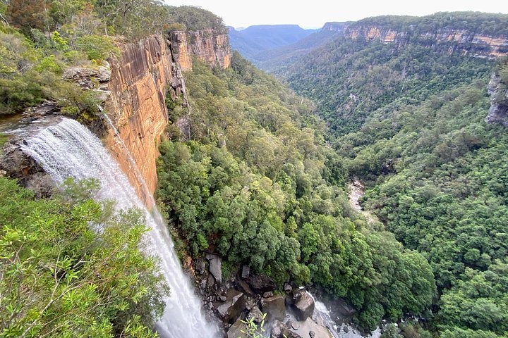 Experimenta la belleza salvaje de Australia en una excursión de un día desde Sídney, con wombats, canguros, cascadas y miradores panorámicos, foto 16 | wizardtrip