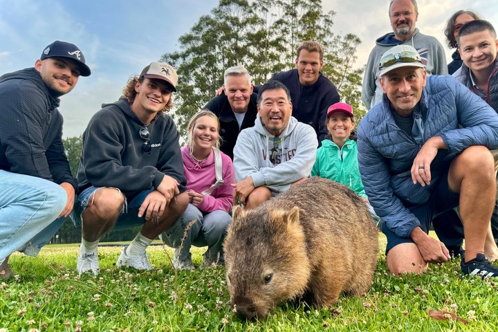 Experimenta la belleza salvaje de Australia en una excursión de un día desde Sídney, con wombats, canguros, cascadas y miradores panorámicos, foto 20 | wizardtrip